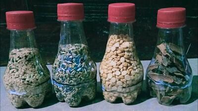  ایده خلاقانه: ساخت جای حبوبات از بطری پلاستیکی