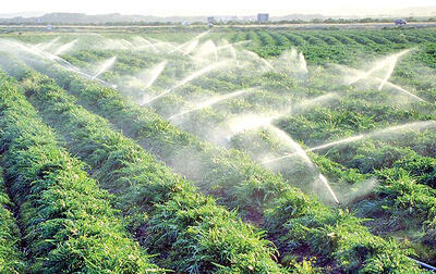  کاهش ۲۶‌ میلیارد مترمکعبی آب زراعت