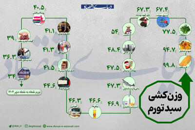  هزینه سبد خرید خانوار ایرانی چقدر بیشتر شد؟