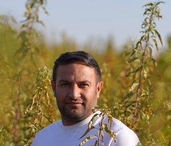  با نهال بادام بحران بی آبی را پشت سر بگذارید و به سود از باغداری برسید