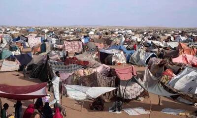  آوارگان الفاشر وضعیتی فاجعه‌بار دارند