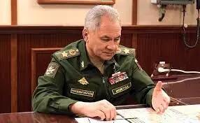  سرگئی شویگو وارد قاهره شد