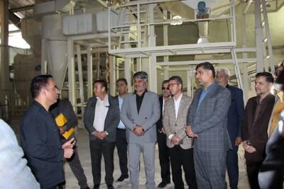  راه‌اندازی کارخانه «خوراک دام و طیور رویان بهارستان » بعد از دو سال تعطیلی/ ۴۰ کارگر مشغول شدند