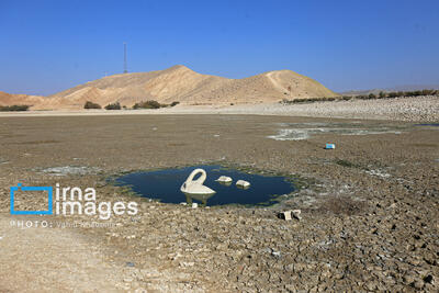  حل وضعیت آب تهران به یک اقدام ملی نیاز دارد