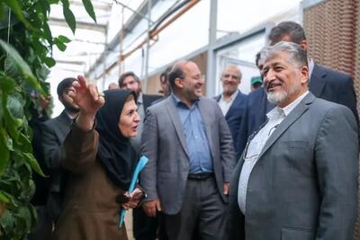  بازدید دکتر رنجبر از کارخانه بذر هیبرید دانشگاه آزاد اسلامی واحد شهر مجلسی