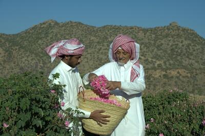  ماجرای «ثبت جهانی گل محمدی به‌نام عربستان» چیست؟