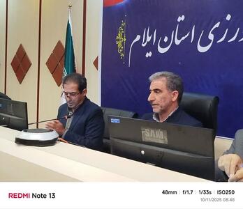  کمیسیون تخصصی امنیت تولید و پایدار غذای ایلام برگزار شد