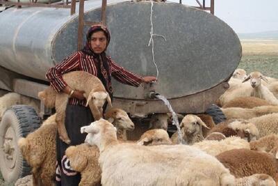  عشایر خراسان شمالی غرق در بی آبی در مناطق قشلاقی