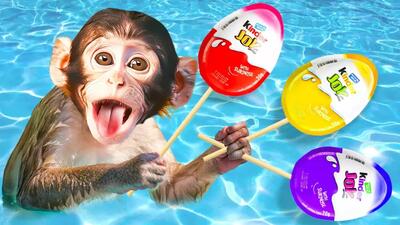  انیمیشن آموزشی میمون بازیگوش جدید | میمون در استخر و سرگرمی حیوانات