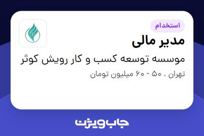  استخدام مدیر مالی در موسسه توسعه کسب و کار رویش کوثر