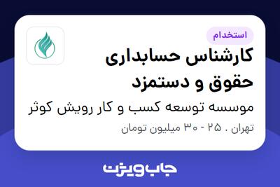 استخدام کارشناس حسابداری حقوق و دستمزد در موسسه توسعه کسب و کار رویش کوثر