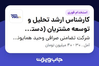  استخدام کارشناس ارشد تحلیل و توسعه مشتریان (دستیار مدیرعامل) در شرکت تضامنی صرافی وحید همایونی و مجتبی موسوی (صرافی VTC)