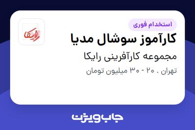  استخدام کارآموز سوشال مدیا در مجموعه کارآفرینی رایکا