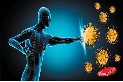  برای تقویت سیستم ایمنی زینک بهتر است یا ویتامین C ؟ - کلبه سرگرمی