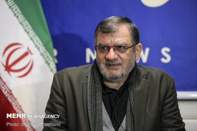  روح‌الامینی: کوچک‌سازی دولت تکلیف قانونی است نه انتخاب
