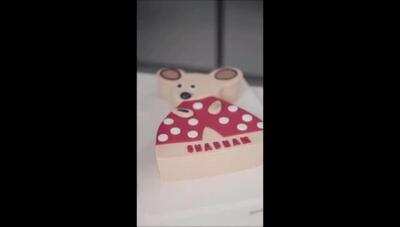  لحظاتی شیرین از حضور پر انرژی شبنم قلی‌خانی و دخترش شانا