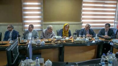  نمایندگان WHO در ستاد مبارزه با موادمخدر / ایران الگوی منطقه‌ای در درمان اعتیاد است
