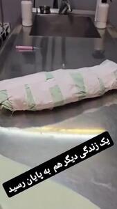  فیلم/ مازیار لرستانی عزادار شد/ یک زندگی دیگه هم به پایان رسید