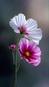  فال حافظ 19 آبان