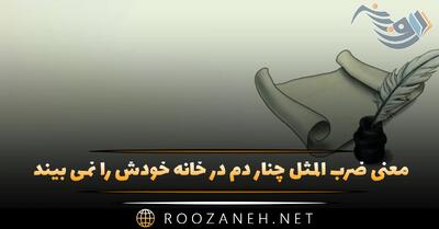  معنی ضرب المثل چنار دم در خانه خودش را نمی بیند (کاربرد و حکایت)