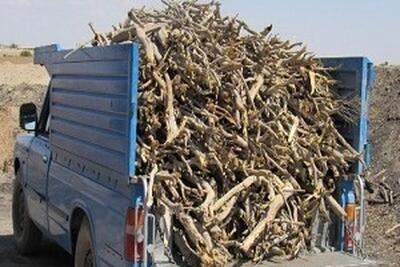  کشف هشت تن چوب «تاغ» قاچاق در گناباد خراسان رضوی (۱۹ آبان ۱۴۰۴)