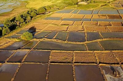  ۷۸۸۲ مورد تغییر غیرمجاز کاربری اراضی کشاورزی در استان تهران متوقف شد