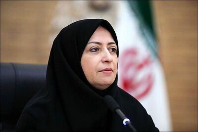  رئیس سازمان حفاظت محیط زیست به ماجرای سفر ۵۰ میلیاردی برزیل واکنش نشان داد