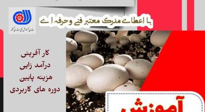  تلفیق علم و کشاورزی؛ بانوان گیلانی در مسیر خودکفایی و توسعه پایدار روستاها
