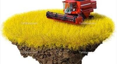  تأمین مالی ۸۹۲ میلیارد تومانی برای رونق کشاورزی در خمین