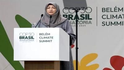  نیازی به حضور رئیس سازمان محیط زیست در اجلاس برزیل نبود / با ۵۰ میلیارد هزینه سفر انصاری چقدر محرومیت زدایی می‌شد؟