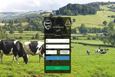  «مجوز واردات» تبدیل به کالای فروشی شد! / چانه زنی‌های مشکوک برای تخصیص ارز 