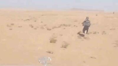  تعقیب افغانی‌ها توسط مردم در نوار مرزی را ببینید