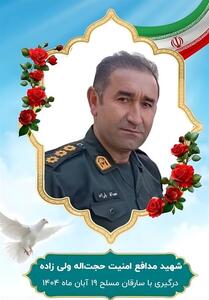  شهادت مامور پلیس در عملیات دستگیری سارقان مسلح - تسنیم