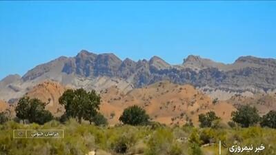  معجزه سبز در دل طبیعت کویر + فیلم