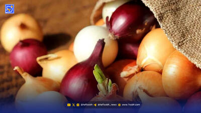  پیاز سفید یا قرمز؛ ارزش غذایی کدام بیشتر است؟
