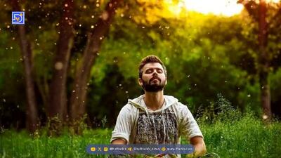  با خواص آفتاب پاییزی آشنا شوید