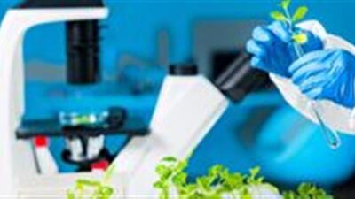  آغاز خدمات تخصصی کلینیک گیاه‌پزشکی دانشگاه آزاد یزد به کشاورزان