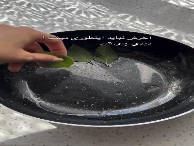  طرز تهه تهدیگ گل آفتابگردان