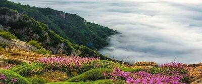 اقیانوسی از ابرها در استان سمنان