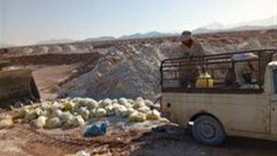  معدوم‌سازی بیش از سه‌هزار لیتر آبلیموی فاقد مشخصات بهداشتی در مهریز