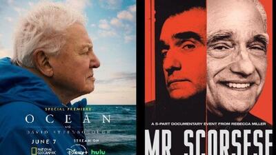  «آقای اسکورسیزی» و «دیوید اتنبرو» در میان برندگان یک جایزه