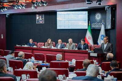  ضرورت هم افزایی دولت و بخش‌خصوصی برای اجرای طرح‌های توزیعی و حمایتی