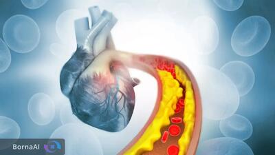 ژن‌درمانی تک‌مرحله‌ای قلب بیماران را نجات می‌دهد