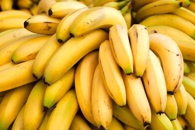  توقف واردات موز تکذیب شد