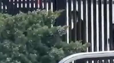  پنهان‌کاری یا سیاست؟/ استقبال ترامپ از در پشتی کاخ سفید!+ فیلم