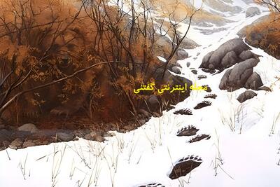  با محدودیت زمانی 7 ثانیه‌ای برای یافتن خرس های پنهان شده در یک جاده کوهستانی برفی، مهارت‌های مشاهده خود را به چالش بکشید!