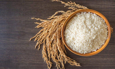  بهترین ظرف برای نگهداری برنج؛ انتخاب مناسب برای حفظ طعم و کیفیت آن
