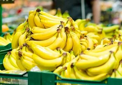  تکذیب توقف واردات موز/ واردات و صادرات محصولات کشاورزی طبق روال قبلی در حال انجام است