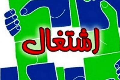  سهم دولت در ایجاد اشتغال در استان قزوین کمتر از 10 درصد است