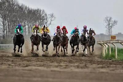  آغاز فصل جدید رقابت‌های سوارکاری پاییزه گلستان در گنبدکاووس